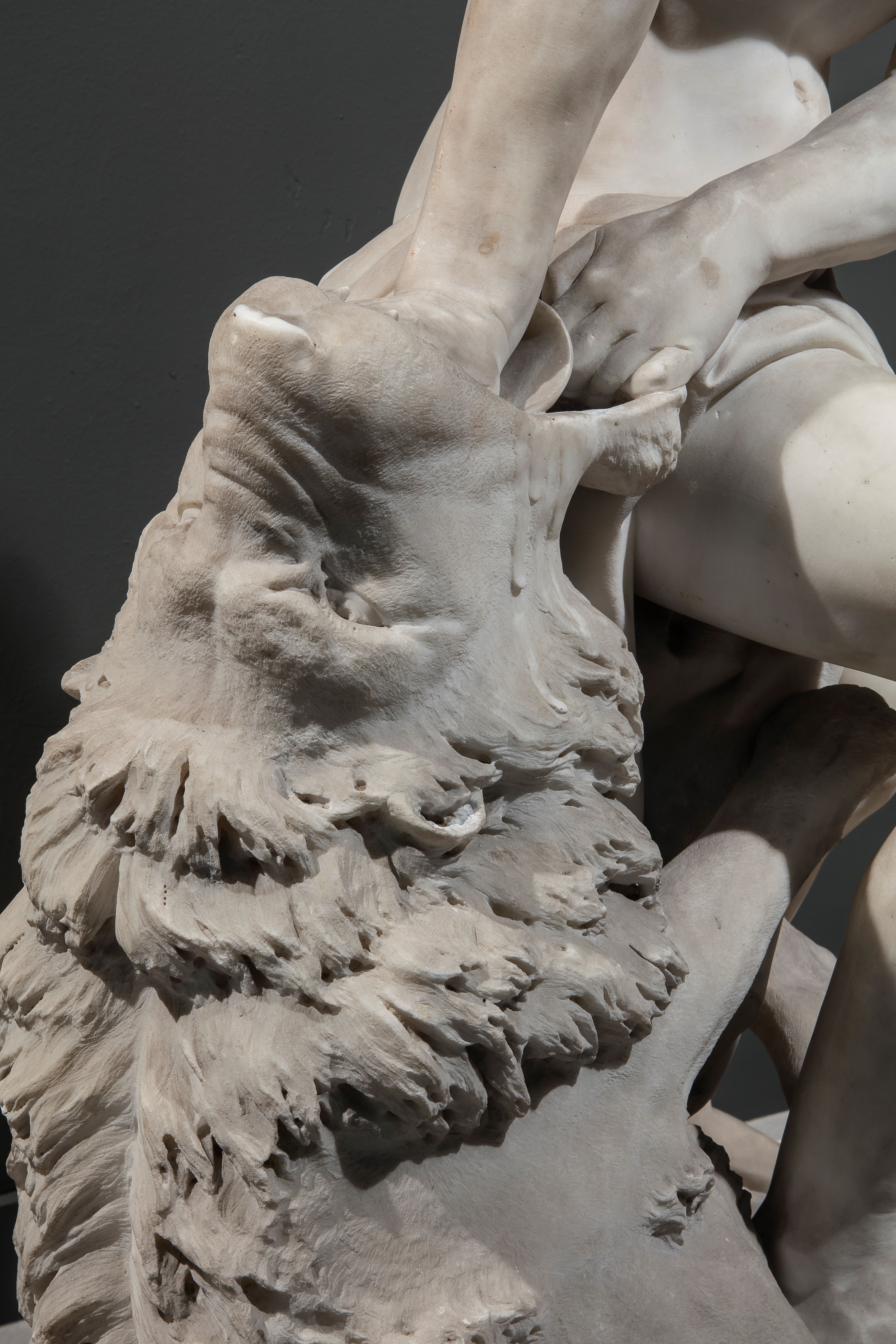 Sansone che sbrana il leone