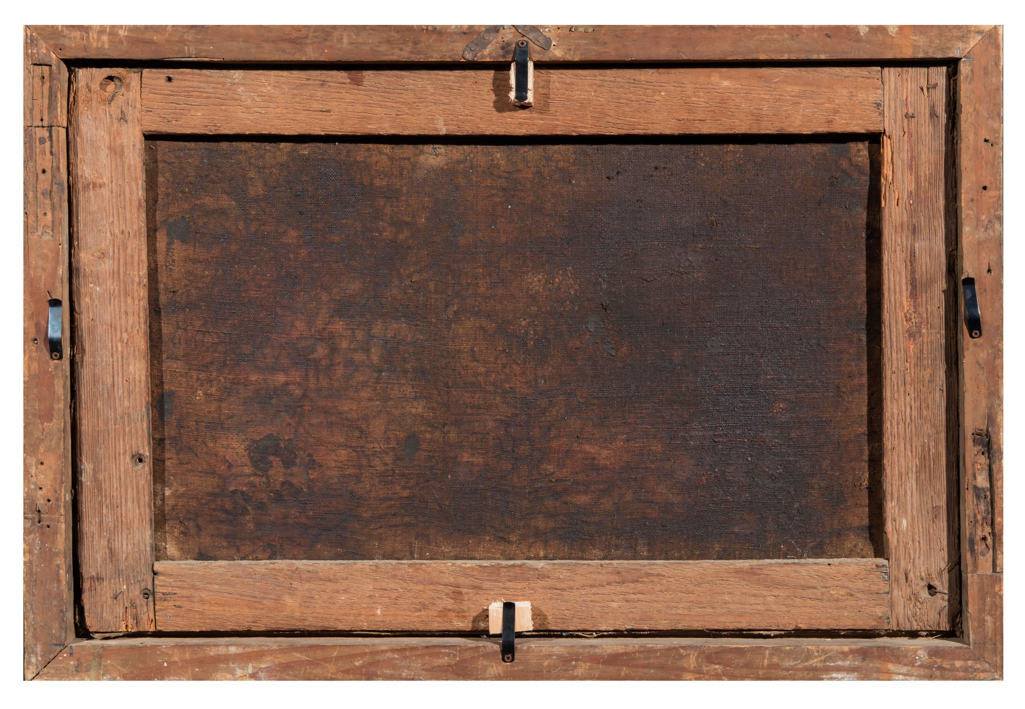 La tortura del gatto