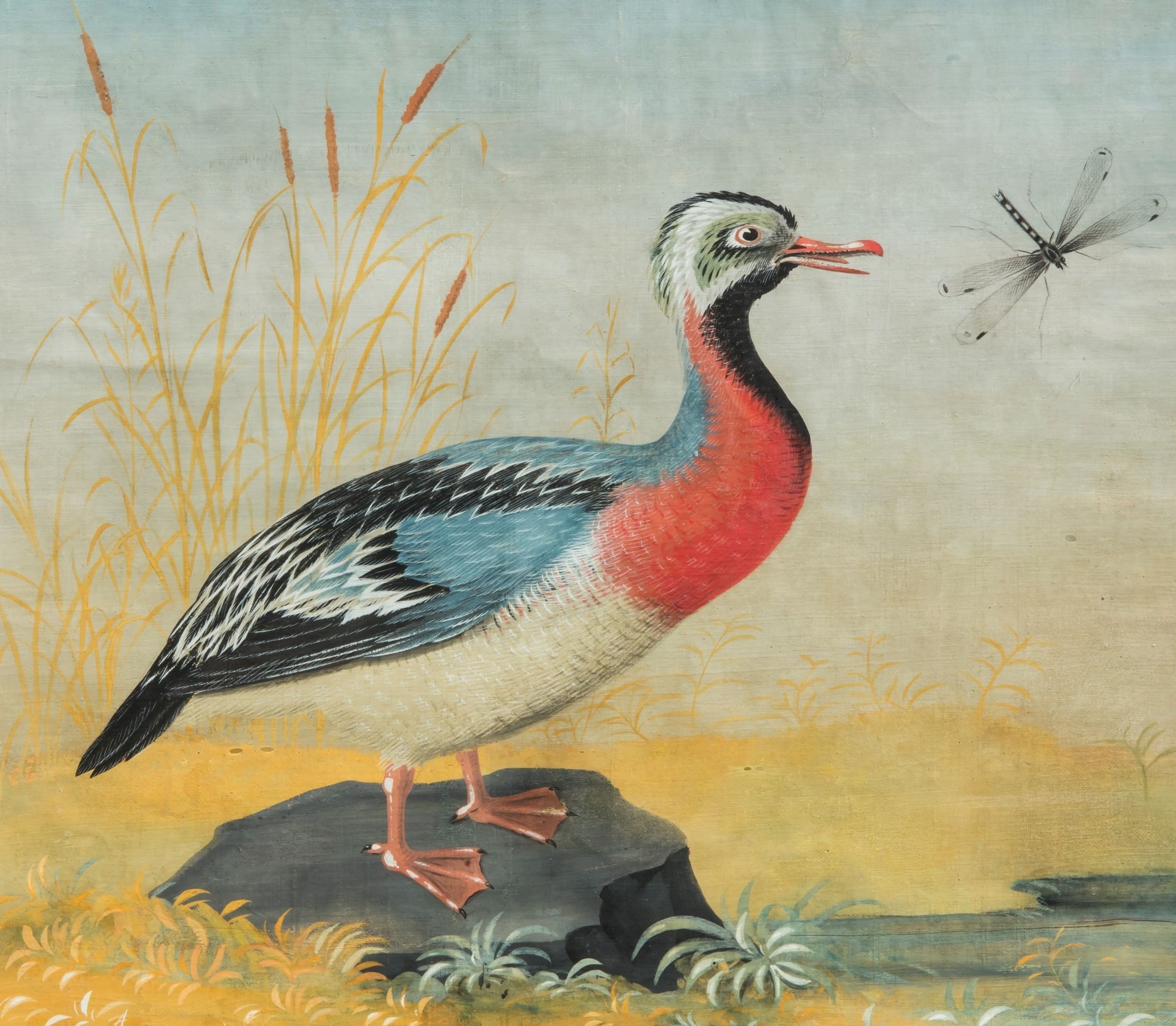 Fregata con libellula, (maniera dei Raineri)