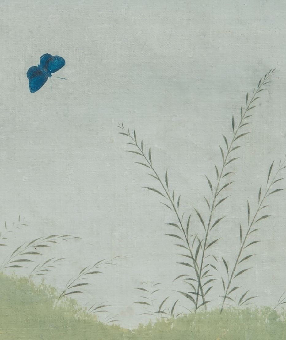 Savacone, (maniera dei Raineri)