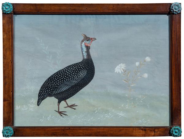 Pittore lombardo della fine del XVIII / inizi del XIX secolo - Gallina di Faraone ossia d'Egitto, (maniera dei Raineri)