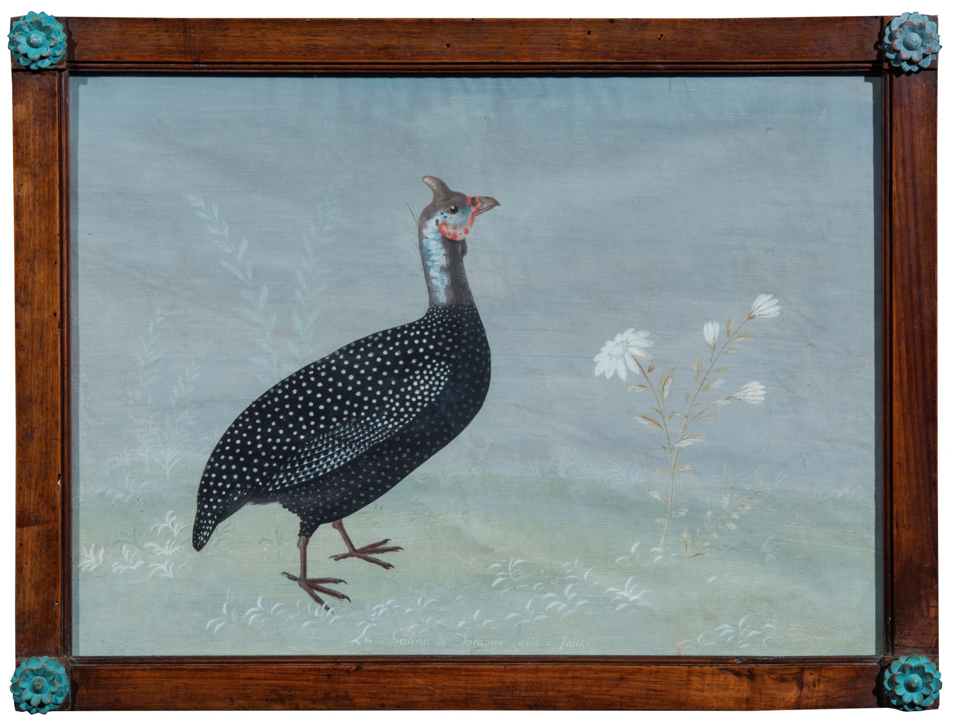 Gallina di Faraone ossia d'Egitto, (maniera dei Raineri)