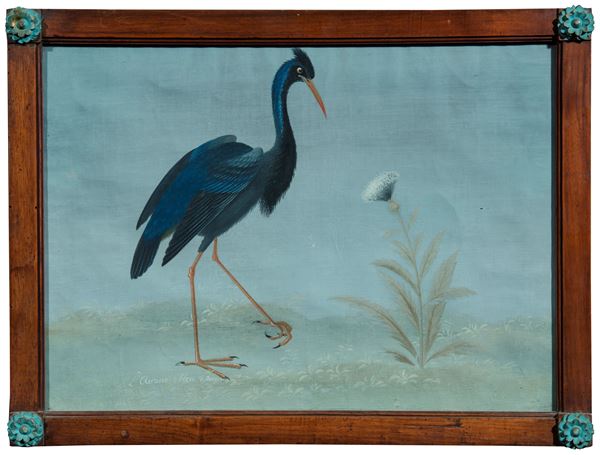 Pittore lombardo della fine del XVIII / inizi del XIX secolo - Airone blu d'America, (maniera dei Raineri)